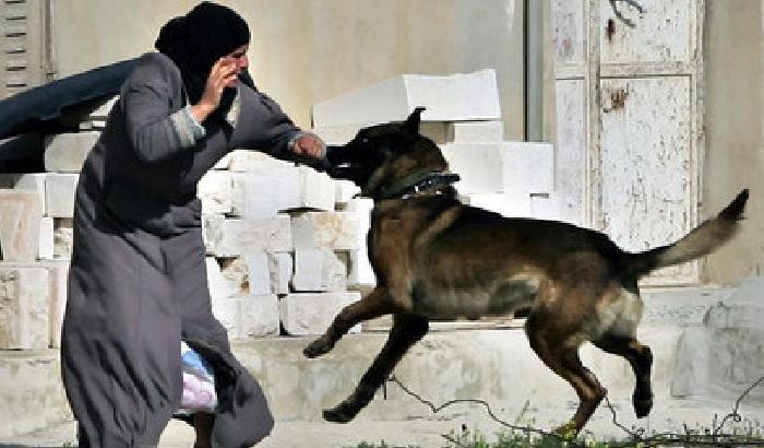 I cani dei coloni contro i palestinesi