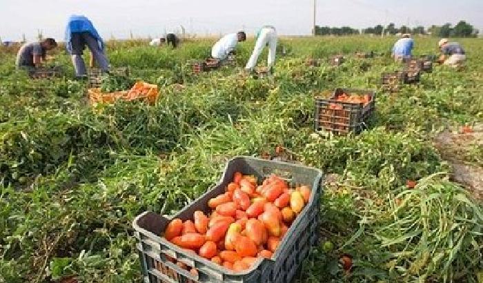 L'allarme non è la negritudine, ma sono i negrieri