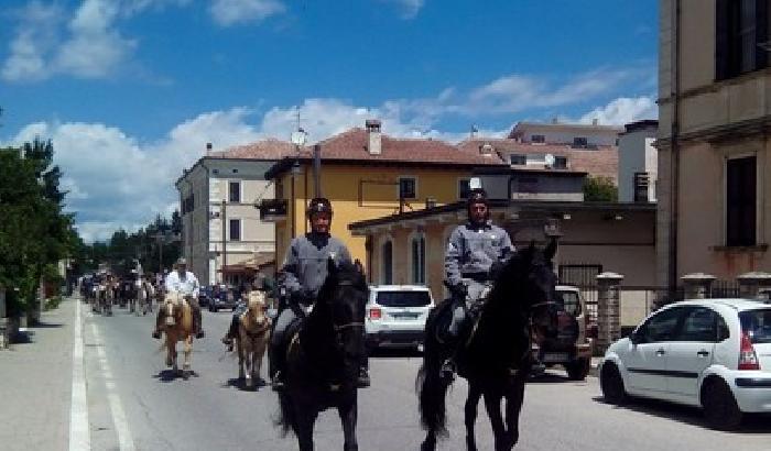 44° Equiraduno Nazionale Italia a Cavallo