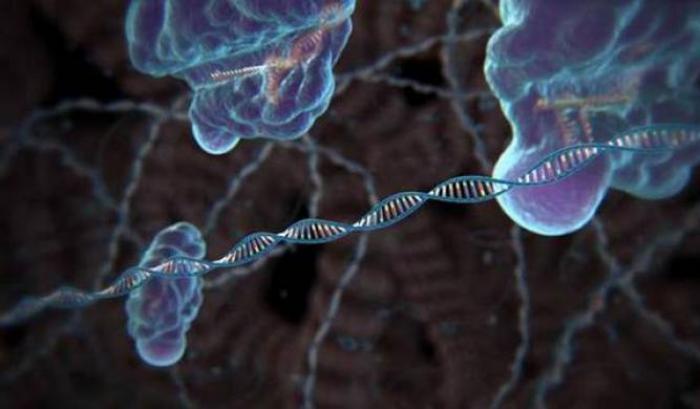 In Cina il primo intervento sull'uomo con la tecnica del taglia-incolla del Dna