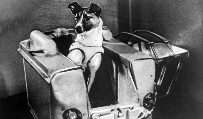 Laika, dopo 60 anni Mosca rende onore alla cagnetta dello spazio