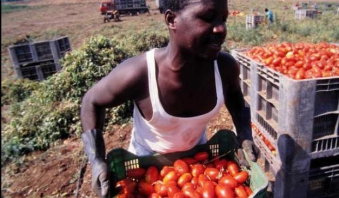 Sciopero in memoria dei braccianti africani morti per guadagnare un euro a quintale di pomodori