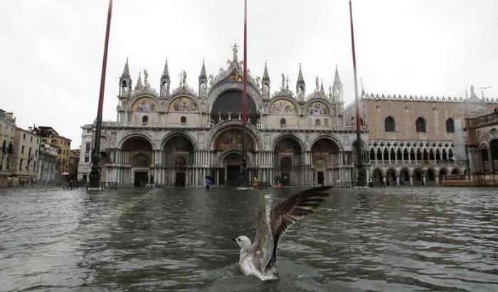 Venezia