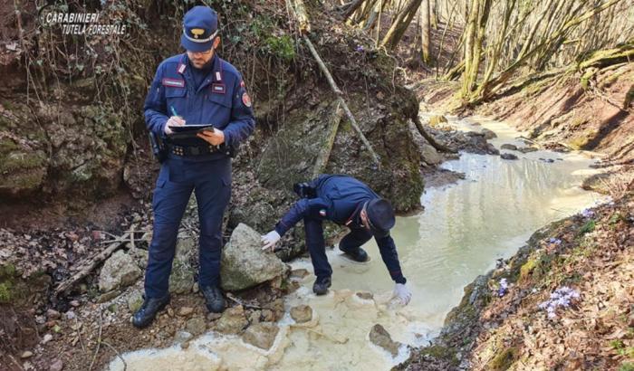 Metalli pesanti nei fertilizzanti, intercettazioni shock: "Sono un delinquente, penso al bimbo che mangia questo mais"