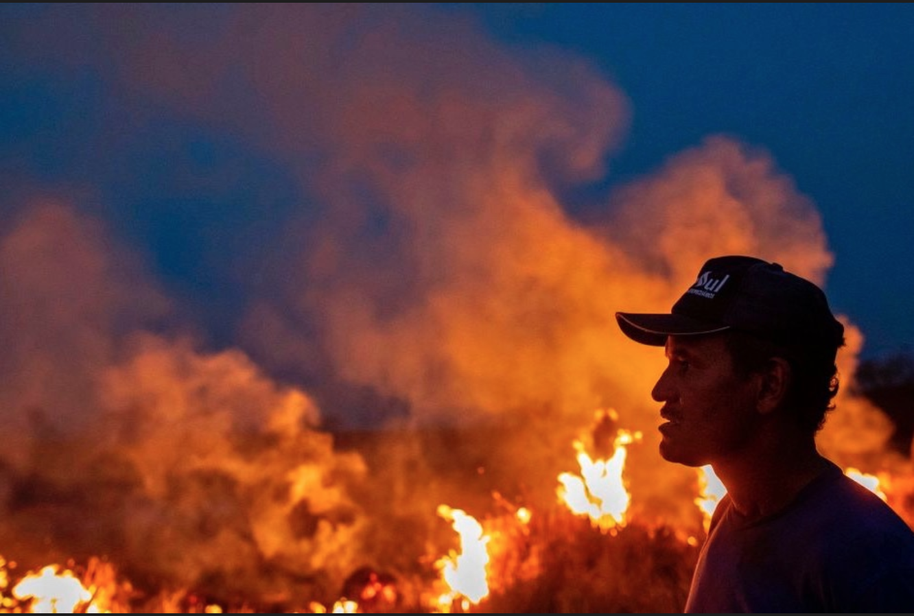 Effetto Bolsonaro: 5 milioni di ettari di Amazzonia perduti negli ultimi anni