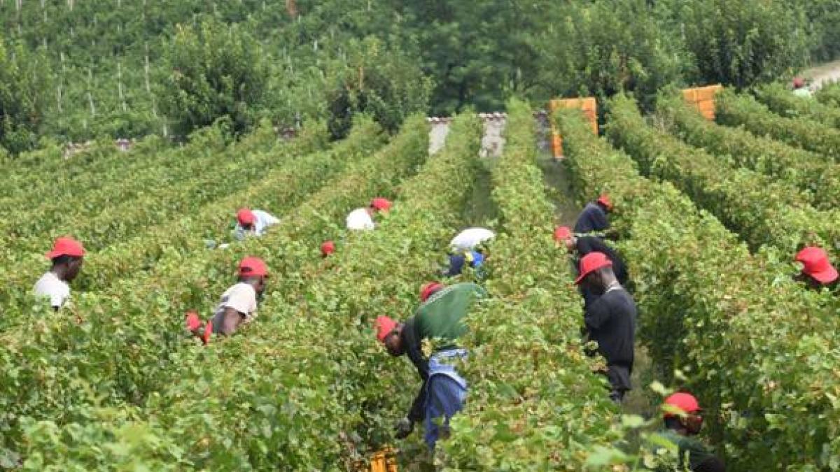 E' morto il bracciante indiano abbandonato in strada, dopo un incidente sul lavoro: dichiarata la morte cerebrale