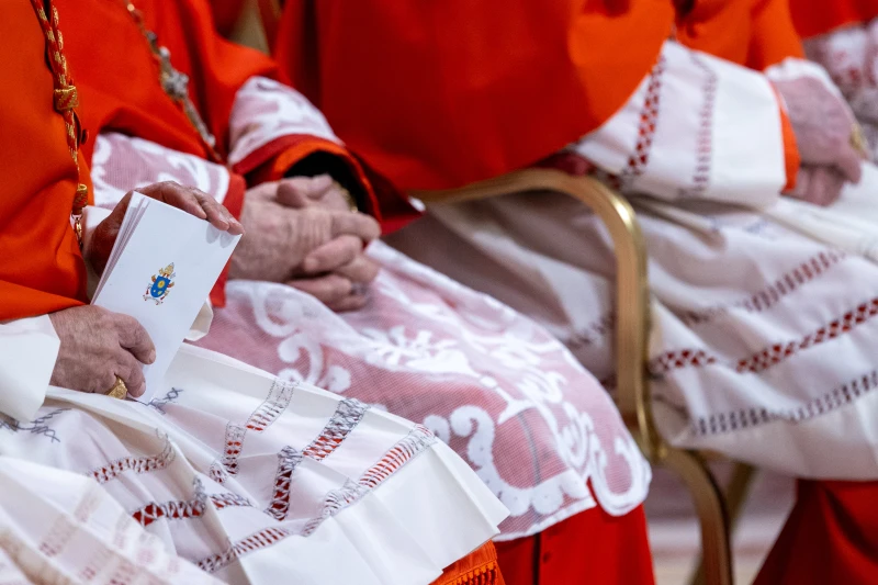 I nuovi cardinali di Papa Francesco: perni essenziali e semi di speranza per la Chiesa