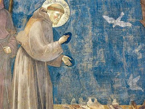 L’eredità senza tempo di San Francesco: poesia, pace e fraternità per il mondo di oggi